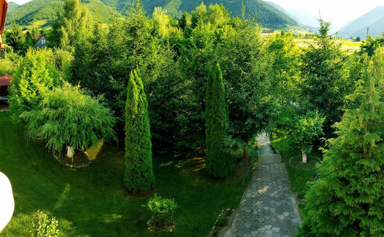 Home Away From Home Gura Rîului المظهر الخارجي الصورة